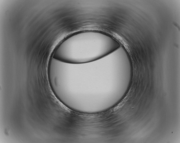 X0000096661334200803041153