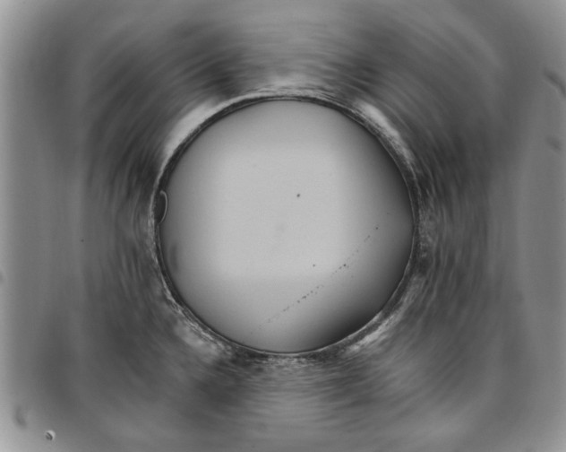 X0000096661336200803041153