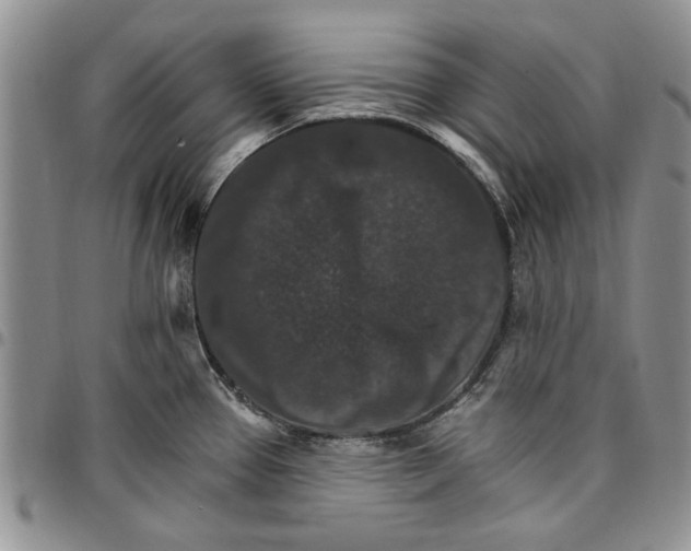 X0000096661337200803041153