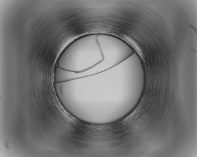 X0000096661340200803041153