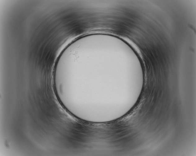 X0000096661341200803041153