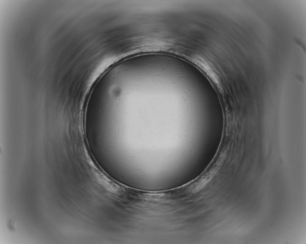 X0000096661342200803041153