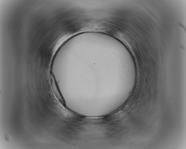 X0000096661344200803041153