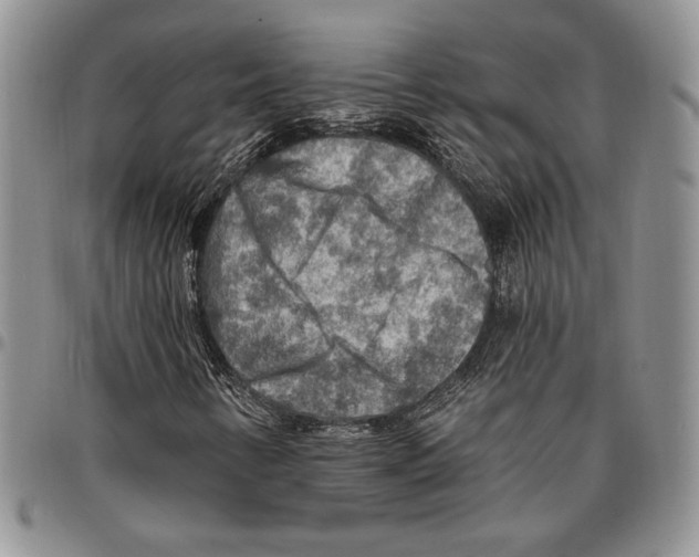 X0000096661346200803041152