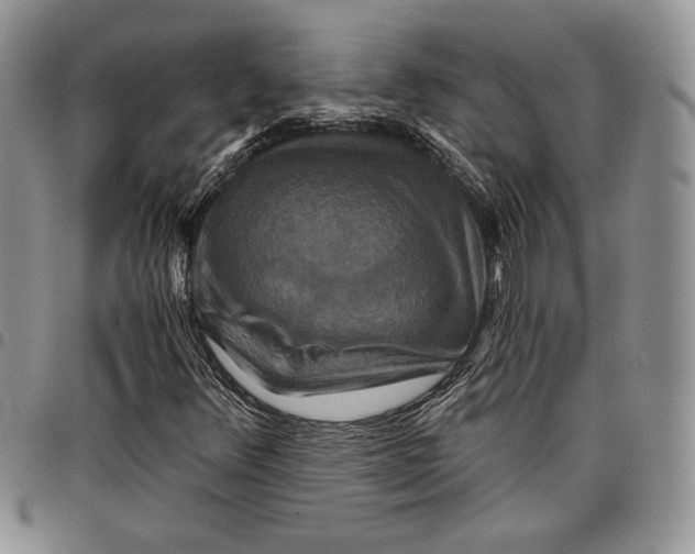 X0000096661348200803041152