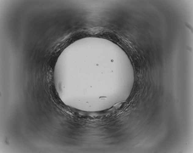 X0000096661349200803041152