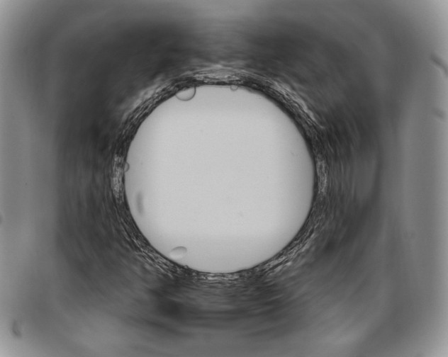 X0000096661350200803041152