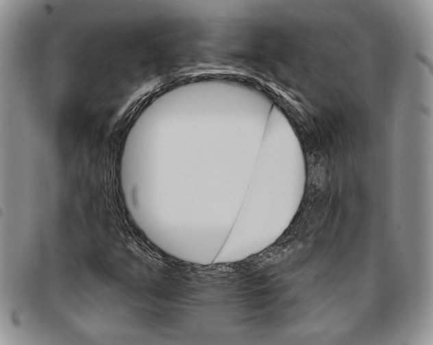 X0000096661351200803041152