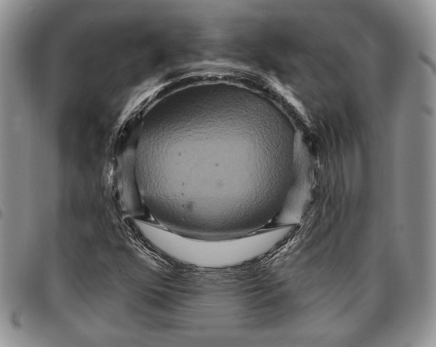 X0000096661352200803041152