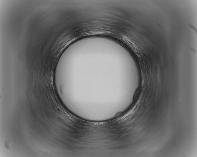 X0000096661353200803041152