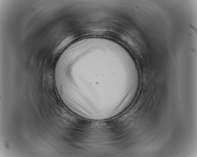 X0000096661354200803041152