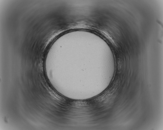 X0000096661356200803041152