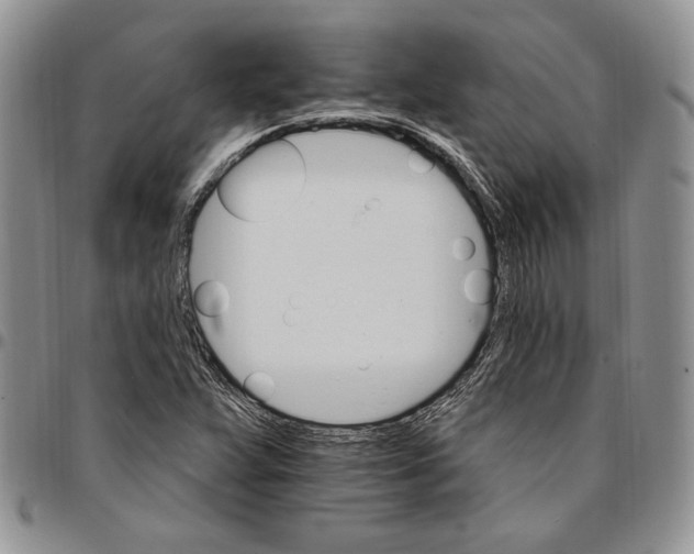 X0000096661359200803041152