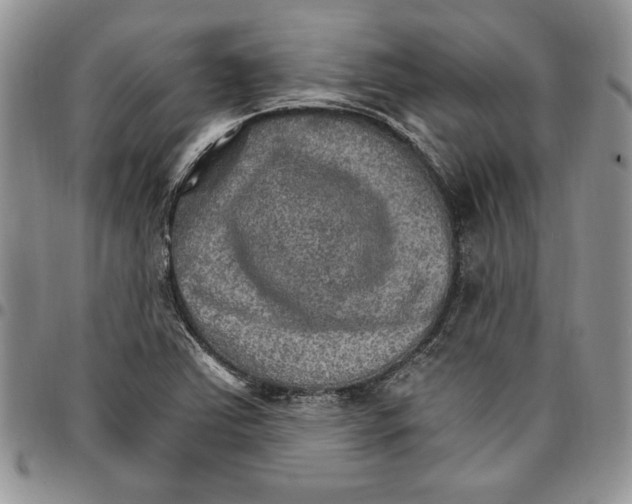 X0000096661363200803041152