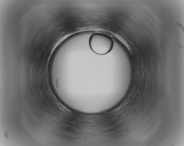 X0000096661364200803041152