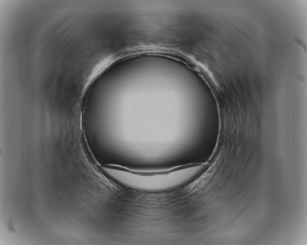 X0000096661365200803041152