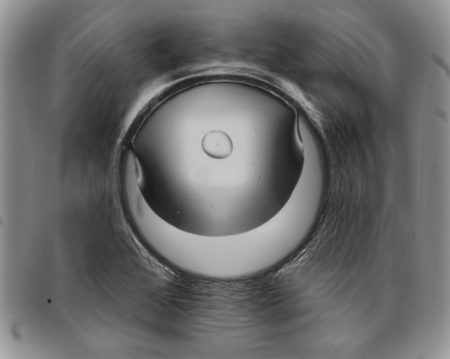 X0000096661368200803041152