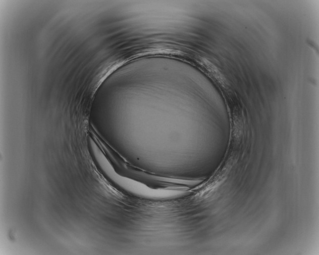 X0000096661369200803041152