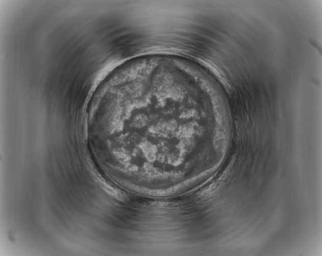 X0000096661371200803041152