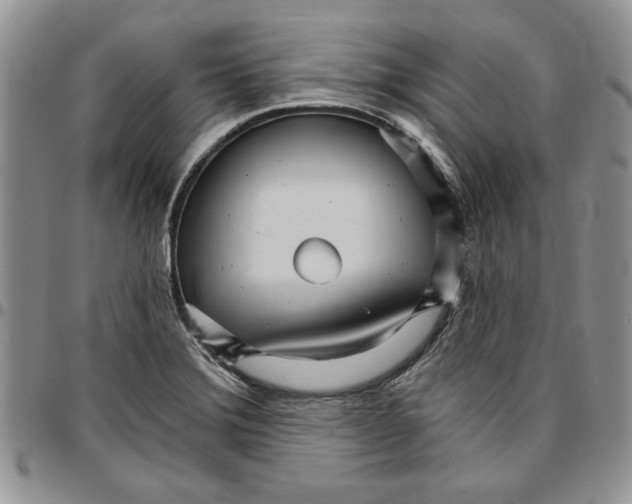 X0000096661372200803041152