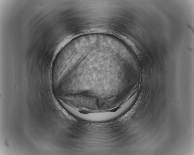 X0000096661373200803041152