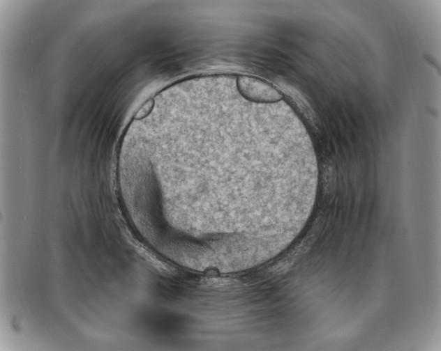 X0000096661374200803041152