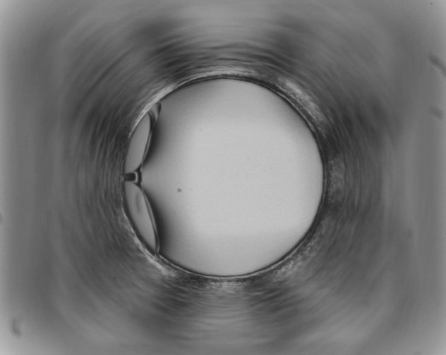 X0000096661377200803041152