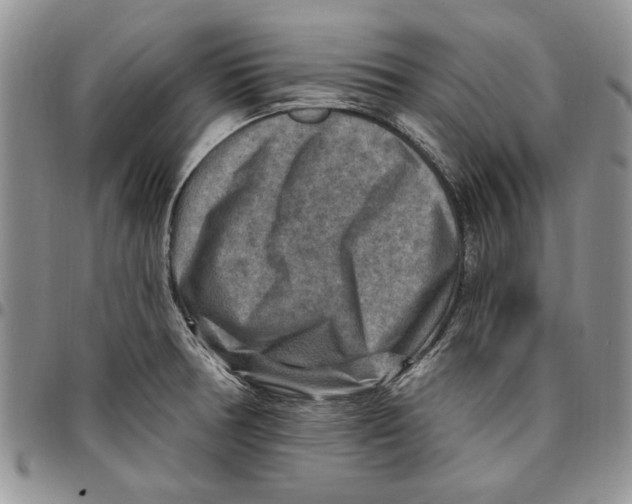 X0000096661378200803041152