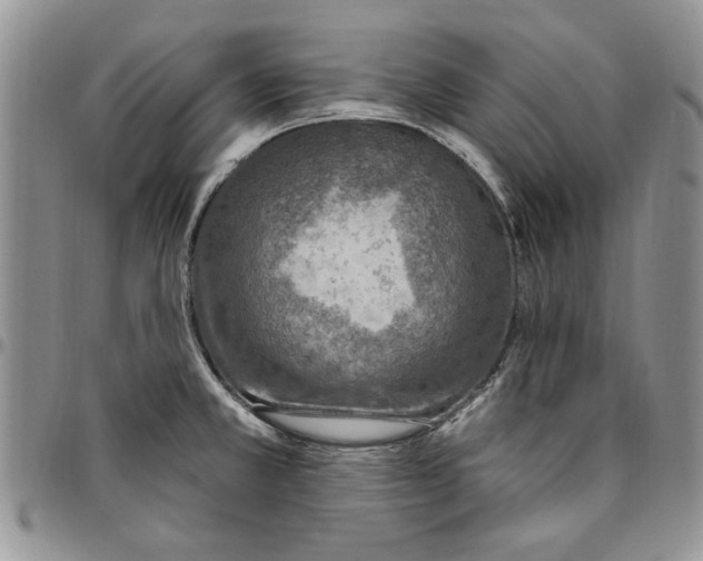 X0000096661381200803041152