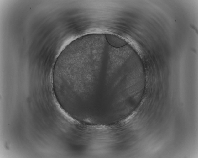 X0000096661382200803041152