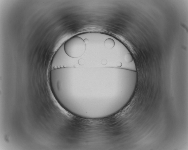 X0000096661383200803041152