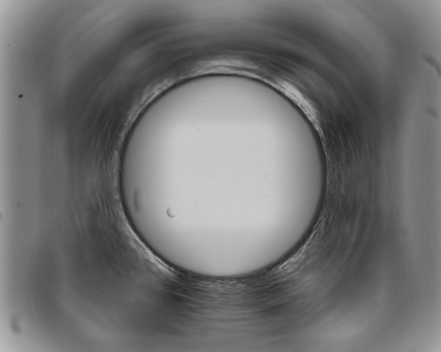 X0000096661384200803041152