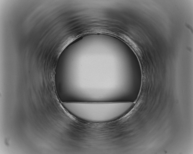 X0000096661385200803041152