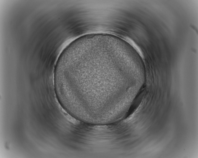 X0000096661388200803041152