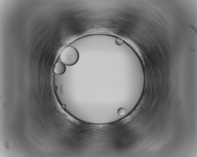 X0000096661390200803041152