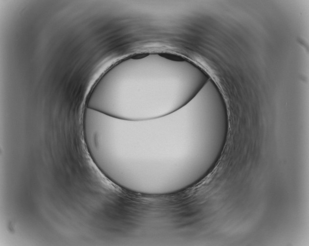 X0000096661392200803041152