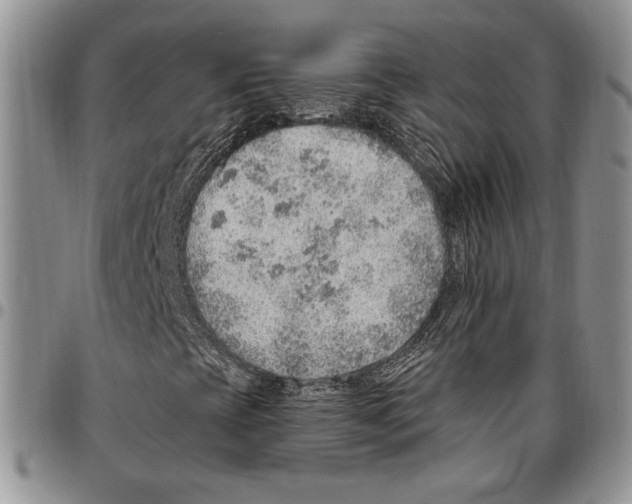 X0000096661393200803041151