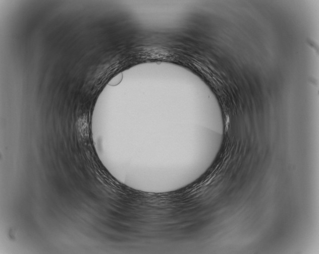 X0000096661395200803041151