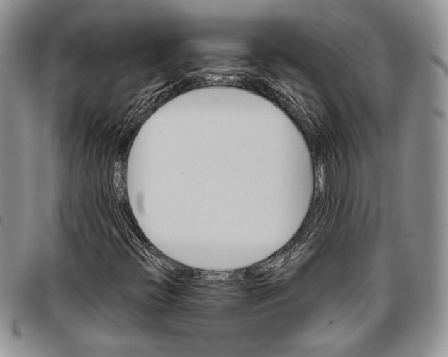 X0000096661396200803041151