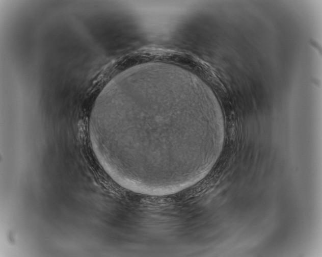 X0000096661397200803041151