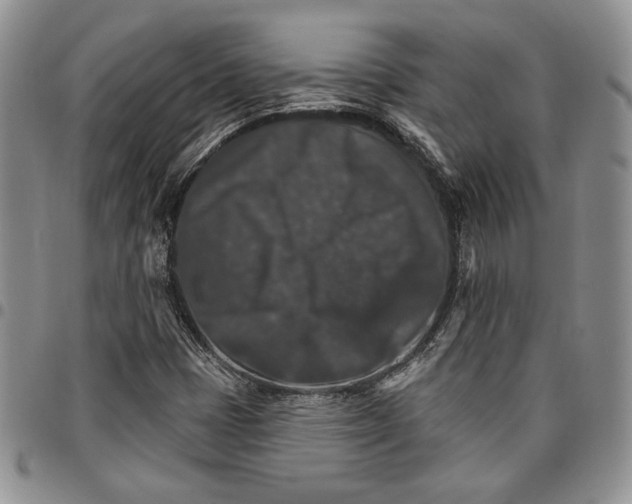 X0000096661401200803041151