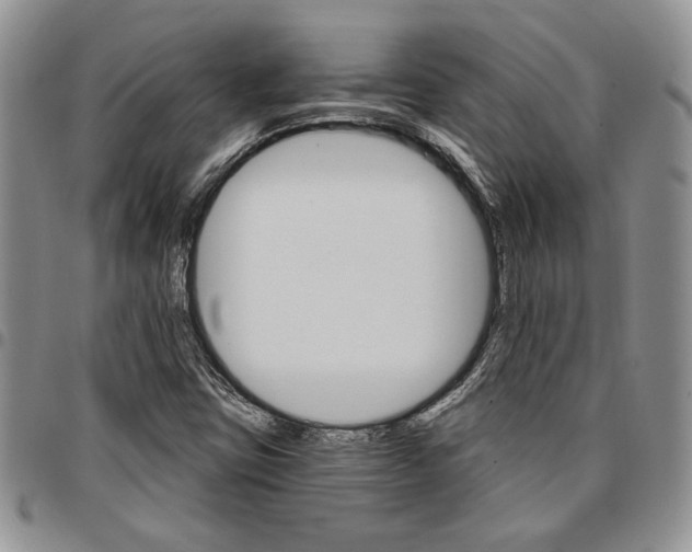 X0000096661403200803041151