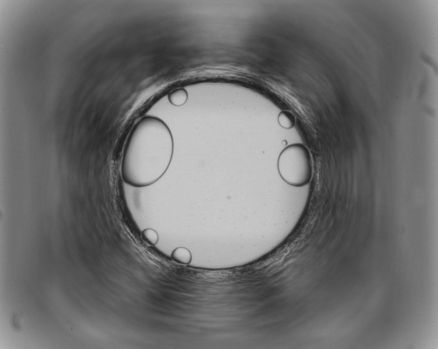 X0000096661404200803041151