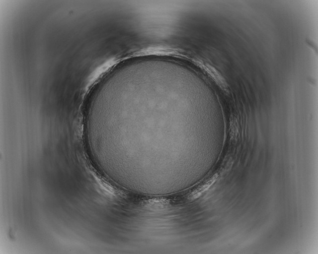 X0000096661406200803041151