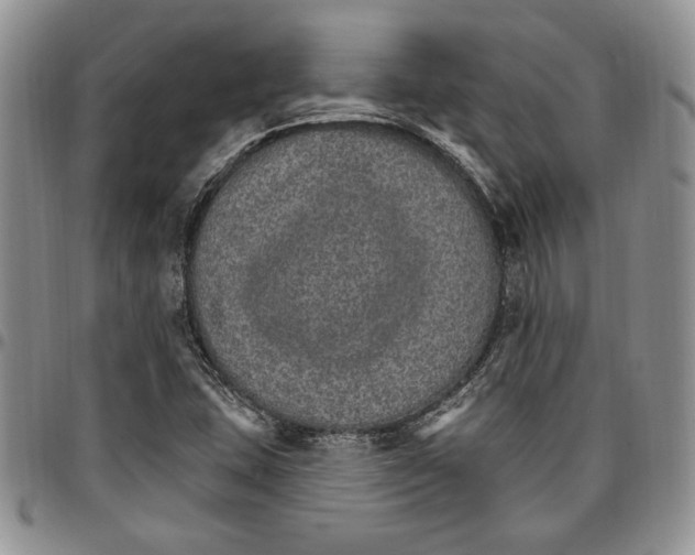 X0000096661407200803041151