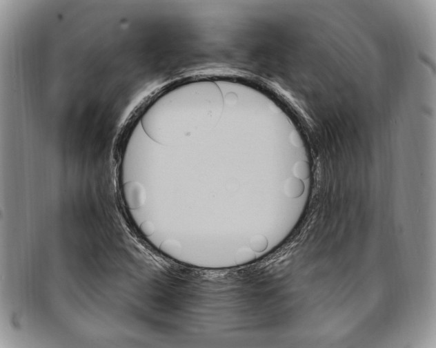 X0000096661408200803041151