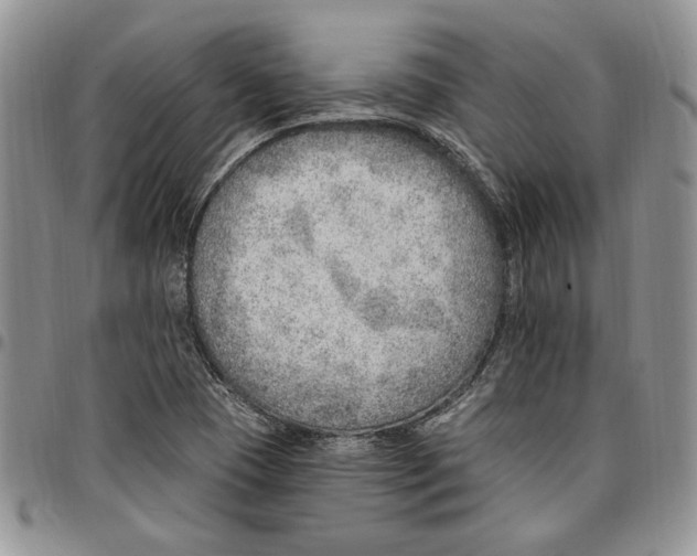 X0000096661409200803041151