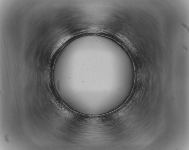 X0000096661410200803041151