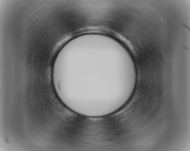 X0000096661411200803041151