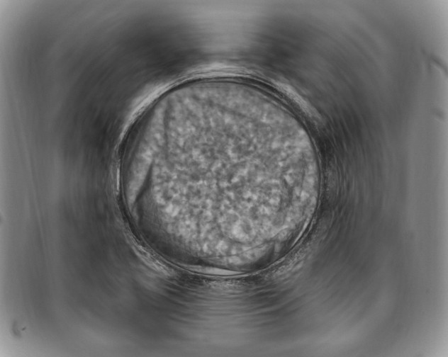 X0000096661413200803041151